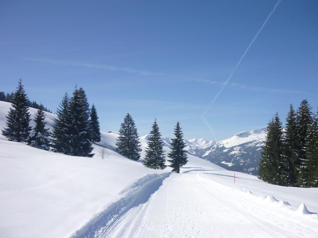 Apartament Haus Aigner Fischen im Allgaeu Pokój zdjęcie