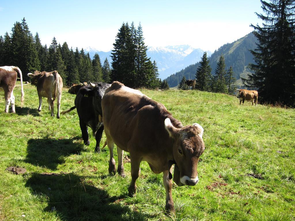 Apartament Haus Aigner Fischen im Allgaeu Pokój zdjęcie
